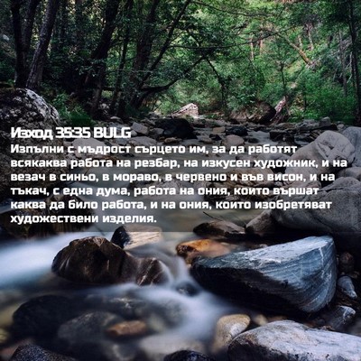 Picture 02 - Изход 35:35 BULG - Изпълни с мъдрост сърцето - Bible Verse Picture