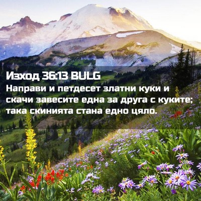 Picture 02 - Изход 36:13 BULG - Направи и петдесет златни - Bible Verse Picture