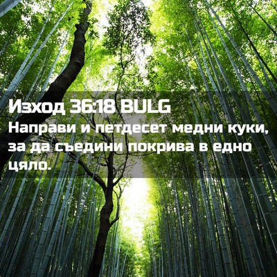 Picture 02 - Изход 36:18 BULG - Направи и петдесет медни - Bible Verse Picture