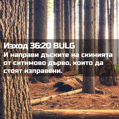 Picture 02 - Изход 36:20 BULG - И направи дъските на - Bible Verse Picture