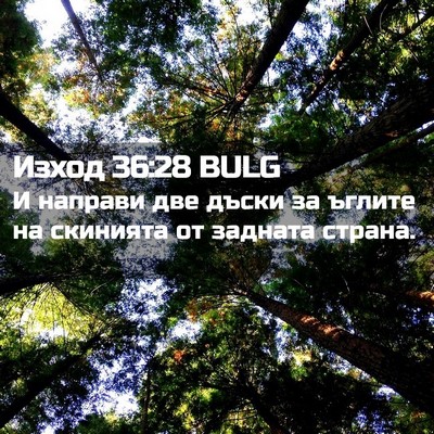 Picture 02 - Изход 36:28 BULG - И направи две дъски за - Bible Verse Picture