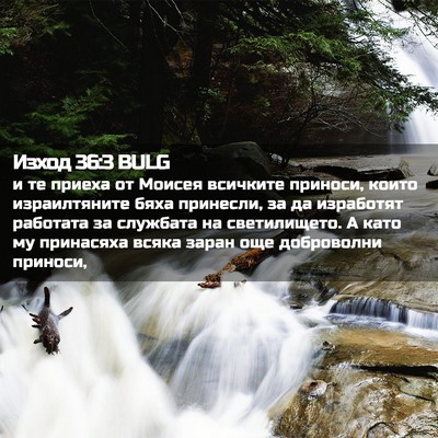 Picture 02 - Изход 36:3 BULG - и те приеха от Моисея - Bible Verse Picture