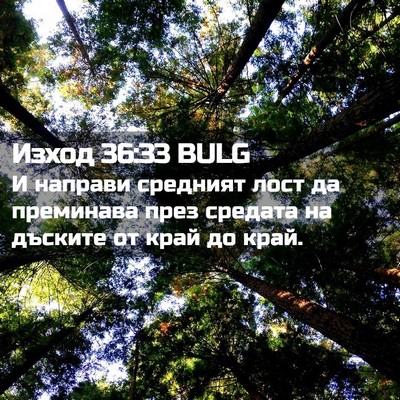 Picture 02 - Изход 36:33 BULG - И направи средният лост да - Bible Verse Picture