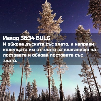 Picture 02 - Изход 36:34 BULG - И обкова дъските със злато, - Bible Verse Picture