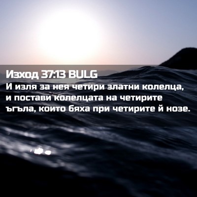 Picture 02 - Изход 37:13 BULG - И изля за нея четири златни - Bible Verse Picture