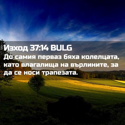 Picture 02 - Изход 37:14 BULG - До самия перваз бяха - Bible Verse Picture