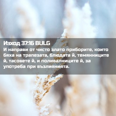 Picture 02 - Изход 37:16 BULG - И направи от чисто злато - Bible Verse Picture