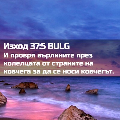 Picture 02 - Изход 37:5 BULG - И провря върлините през - Bible Verse Picture