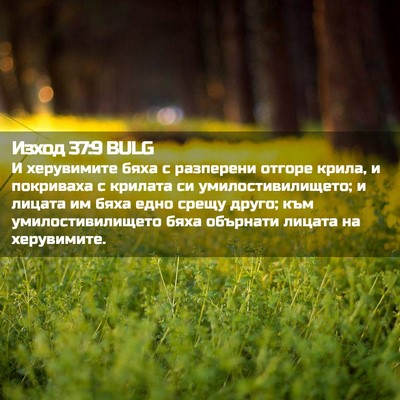 Picture 02 - Изход 37:9 BULG - И херувимите бяха с - Bible Verse Picture