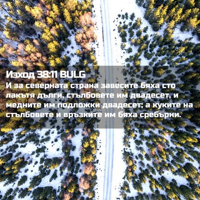 Picture 02 - Изход 38:11 BULG - И за северната страна - Bible Verse Picture