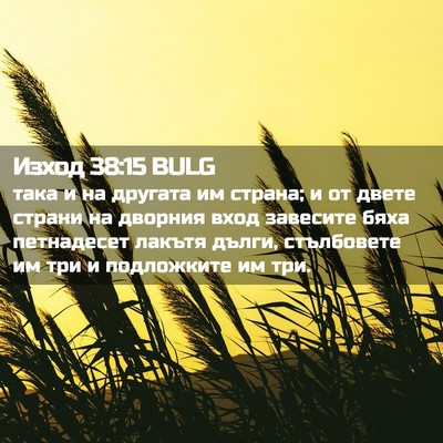 Picture 02 - Изход 38:15 BULG - така и на другата им - Bible Verse Picture