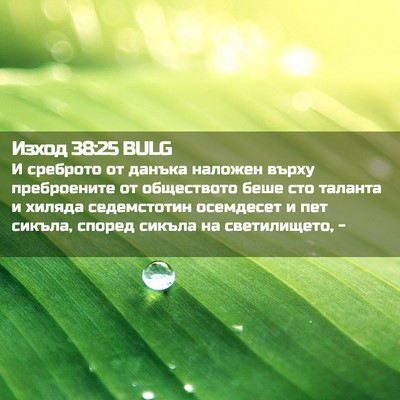 Picture 02 - Изход 38:25 BULG - И среброто от данъка - Bible Verse Picture