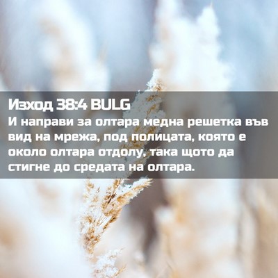Picture 02 - Изход 38:4 BULG - И направи за олтара медна - Bible Verse Picture