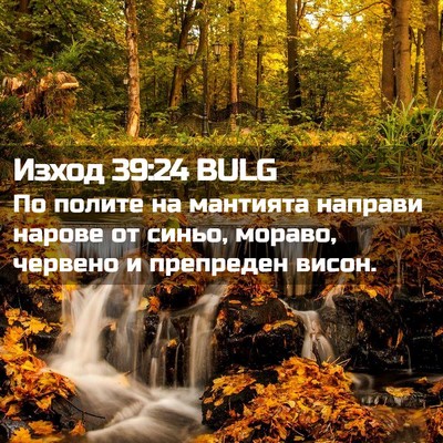 Picture 02 - Изход 39:24 BULG - По полите на мантията - Bible Verse Picture