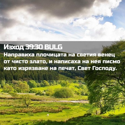 Picture 02 - Изход 39:30 BULG - Направиха плочицата на - Bible Verse Picture