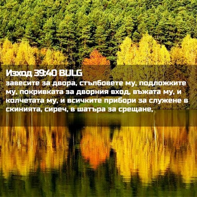 Picture 02 - Изход 39:40 BULG - завесите за двора, - Bible Verse Picture