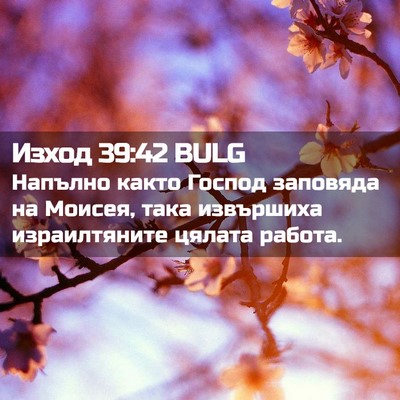 Picture 02 - Изход 39:42 BULG - Напълно както Господ - Bible Verse Picture