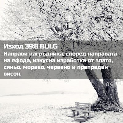 Picture 02 - Изход 39:8 BULG - Направи нагръдника, според - Bible Verse Picture