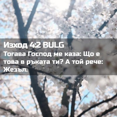 Picture 02 - Изход 4:2 BULG - Тогава Господ ме каза: Що е - Bible Verse Picture