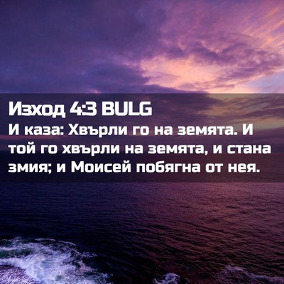 Picture 02 - Изход 4:3 BULG - И каза: Хвърли го на земята. - Bible Verse Picture