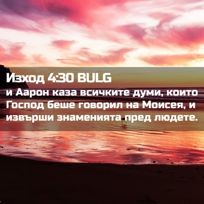 Picture 02 - Изход 4:30 BULG - и Аарон каза всичките думи, - Bible Verse Picture