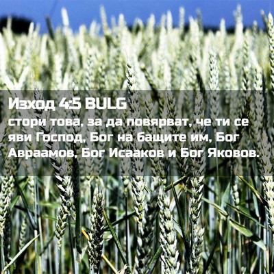 Picture 02 - Изход 4:5 BULG - стори това, за да повярват, - Bible Verse Picture