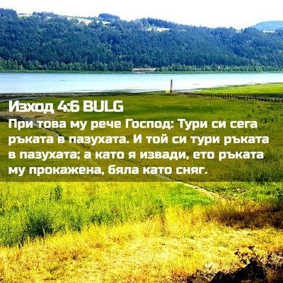 Picture 02 - Изход 4:6 BULG - При това му рече Господ: - Bible Verse Picture