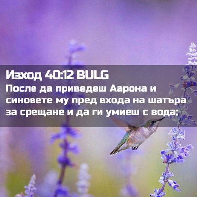 Picture 02 - Изход 40:12 BULG - После да приведеш Аарона и - Bible Verse Picture