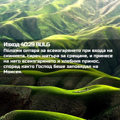 Picture 02 - Изход 40:29 BULG - Положи олтара за - Bible Verse Picture