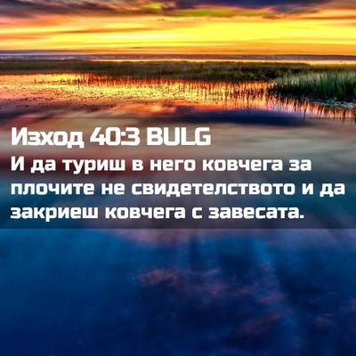 Picture 02 - Изход 40:3 BULG - И да туриш в него ковчега - Bible Verse Picture