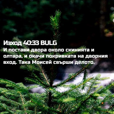 Picture 02 - Изход 40:33 BULG - И постави двора около - Bible Verse Picture