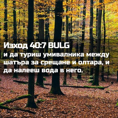 Picture 02 - Изход 40:7 BULG - и да туриш умивалника - Bible Verse Picture