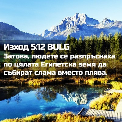 Picture 02 - Изход 5:12 BULG - Затова, людете се - Bible Verse Picture