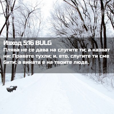 Picture 02 - Изход 5:16 BULG - Плява не се дава на слугите - Bible Verse Picture