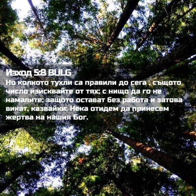 Picture 02 - Изход 5:8 BULG - Но колкото тухли са - Bible Verse Picture