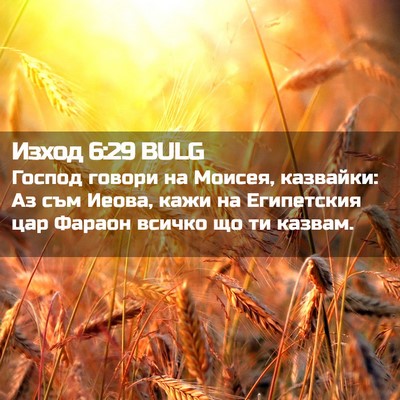 Picture 02 - Изход 6:29 BULG - Господ говори на Моисея, - Bible Verse Picture