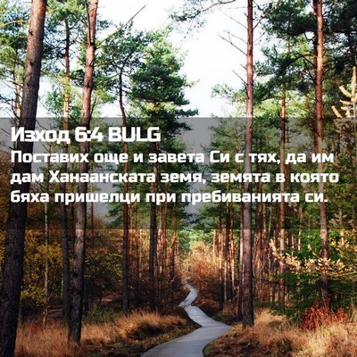 Picture 02 - Изход 6:4 BULG - Поставих още и завета Си с - Bible Verse Picture