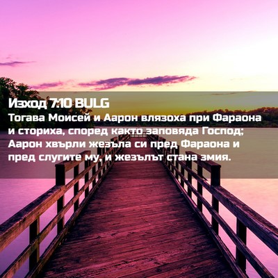 Picture 02 - Изход 7:10 BULG - Тогава Моисей и Аарон - Bible Verse Picture