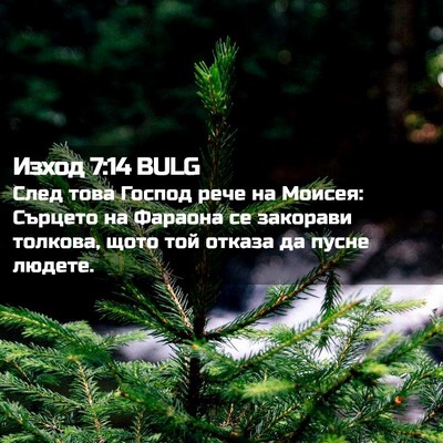 Picture 02 - Изход 7:14 BULG - След това Господ рече на - Bible Verse Picture