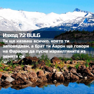 Picture 02 - Изход 7:2 BULG - Ти ще казваш всичко, което - Bible Verse Picture