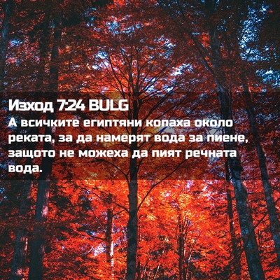 Picture 02 - Изход 7:24 BULG - А всичките египтяни копаха - Bible Verse Picture