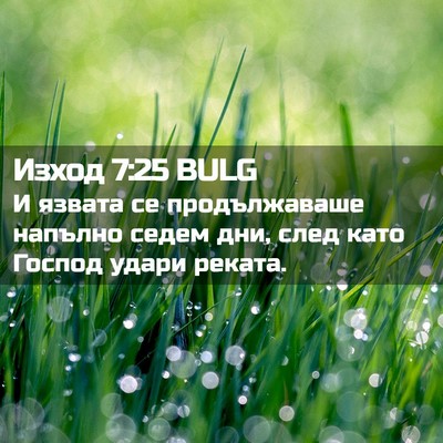 Picture 02 - Изход 7:25 BULG - И язвата се продължаваше - Bible Verse Picture