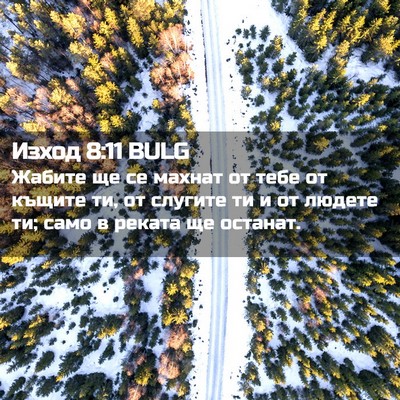 Picture 02 - Изход 8:11 BULG - Жабите ще се махнат от тебе - Bible Verse Picture