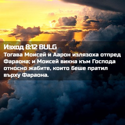 Picture 02 - Изход 8:12 BULG - Тогава Моисей и Аарон - Bible Verse Picture