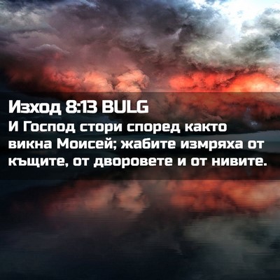 Picture 02 - Изход 8:13 BULG - И Господ стори според - Bible Verse Picture