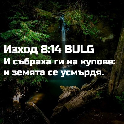 Picture 02 - Изход 8:14 BULG - И събраха ги на купове: и - Bible Verse Picture