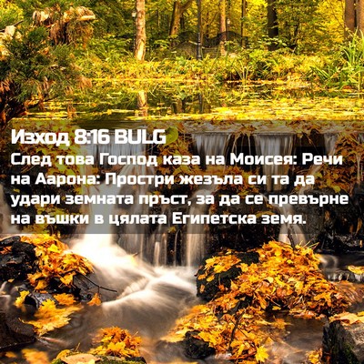 Picture 02 - Изход 8:16 BULG - След това Господ каза на - Bible Verse Picture