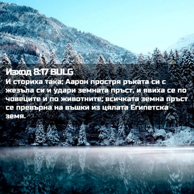 Picture 02 - Изход 8:17 BULG - И сториха така; Аарон - Bible Verse Picture