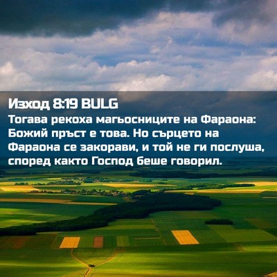 Picture 02 - Изход 8:19 BULG - Тогава рекоха - Bible Verse Picture