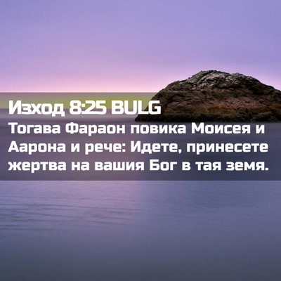 Picture 02 - Изход 8:25 BULG - Тогава Фараон повика - Bible Verse Picture